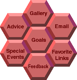 hive.gif (5416 bytes)